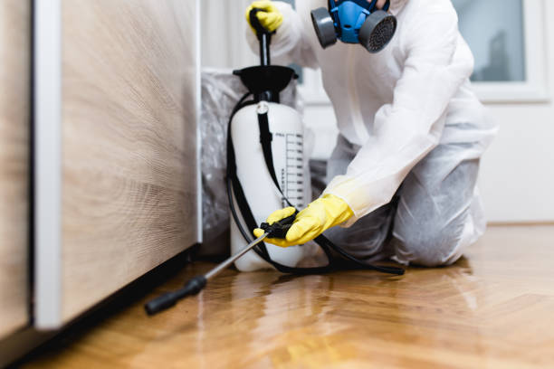 Best Cockroach Control Services  in Mcmurray, PA