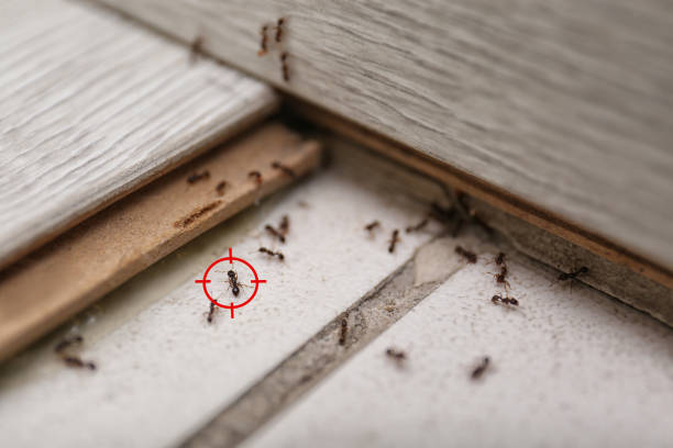 Best Residential Pest Control  in Mcmurray, PA
