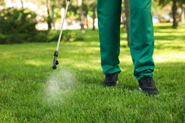 Best Rat Extermination Near Me  in Mcmurray, PA