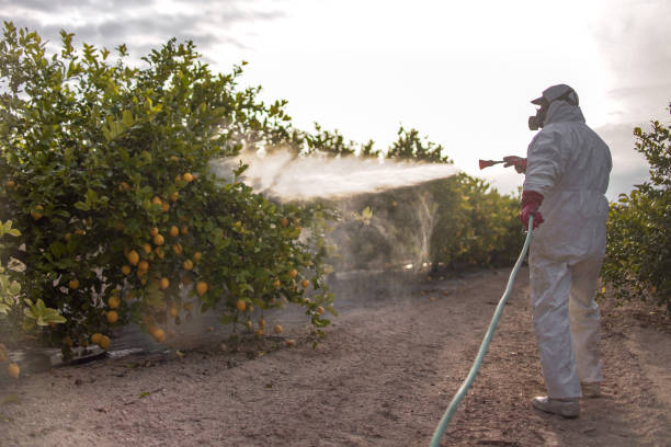 Best Wildlife Control Services  in Mcmurray, PA