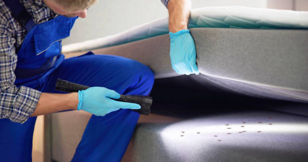 Best Affordable Pest Control Services  in Mcmurray, PA