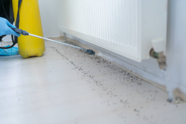 Best Mosquito Control Services  in Mcmurray, PA