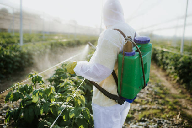 Best Termite Control Services  in Mcmurray, PA